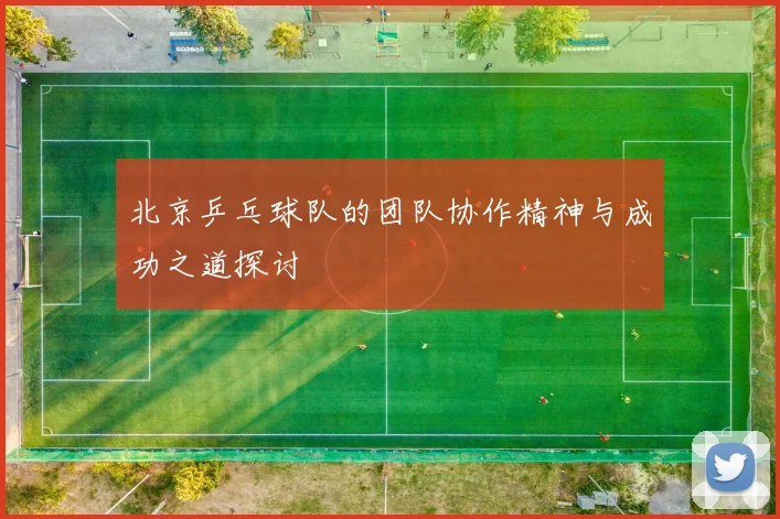 北京乒乓球队的团队协作精神与成功之道探讨