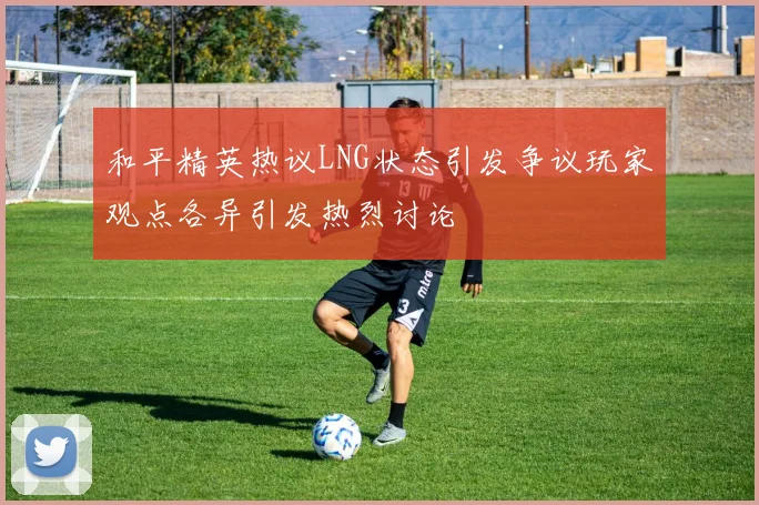 和平精英热议LNG状态引发争议玩家观点各异引发热烈讨论