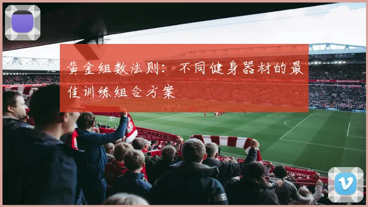 黄金组数法则：不同健身器材的最佳训练组合方案