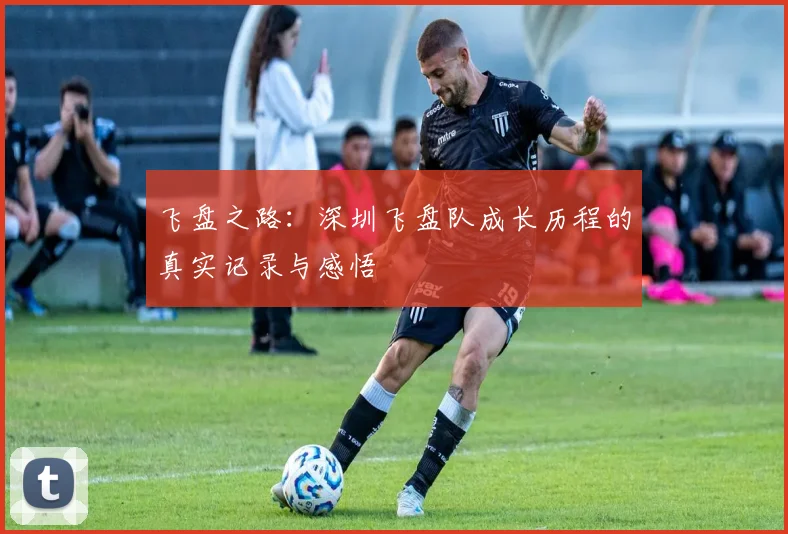 飞盘之路：深圳飞盘队成长历程的真实记录与感悟