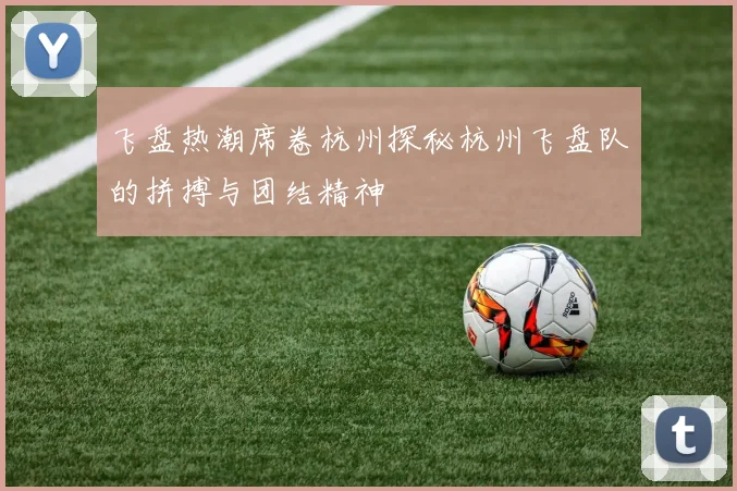 飞盘热潮席卷杭州探秘杭州飞盘队的拼搏与团结精神